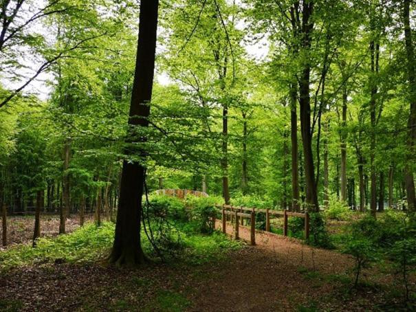 Maison Spacieuse Parc Regional Naturel Normandie Hébergement de vacances