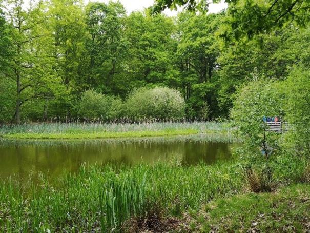 Hébergement de vacances Maison Spacieuse Parc Regional Naturel Normandie *